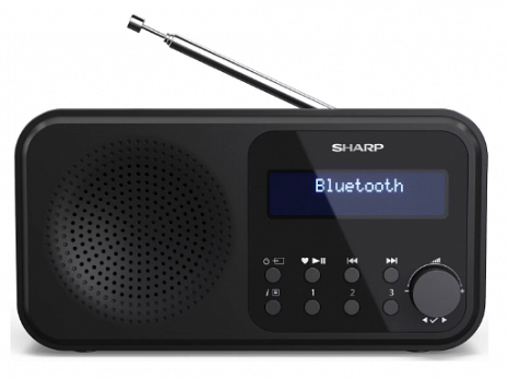 Radio ar bluetooth  DR-P420(BK)