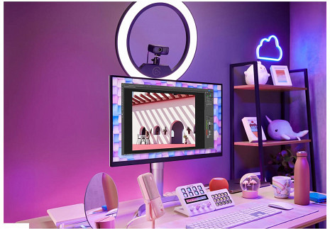 WEB kamera Facecam MK.2 10WAC9901