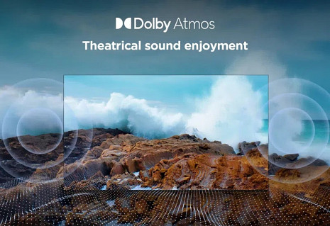 QLED Televizors  55T8C