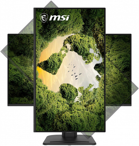 Monitors  PRO MP275PGN E14
