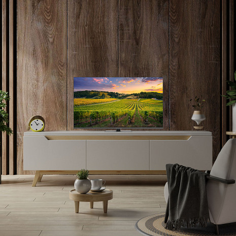 QLED Televizors  43QG5C14