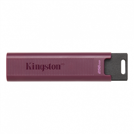 USB zibatmiņa Kingston USB 3.2 Flash Drive DataTraveler MAX 256 GB, USB 3.2 DTMAXA/256GB