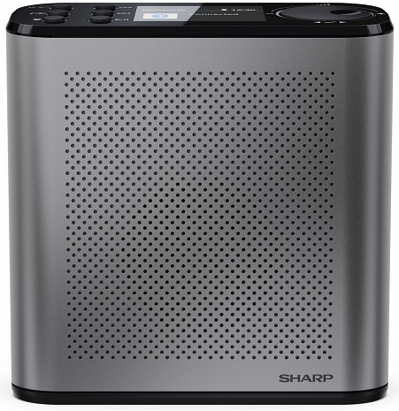 Радио  DR-P530(GY)