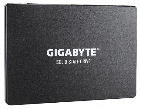 SSD disks GP-GSTFS31256GTND GP-GSTFS31256GTND