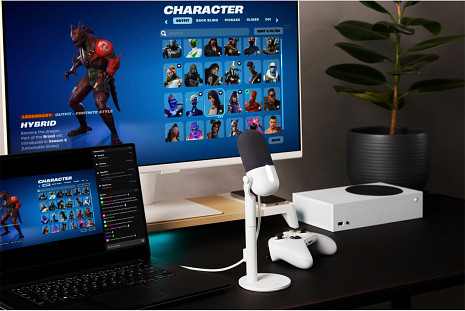 Mikrofons  10MAI9901