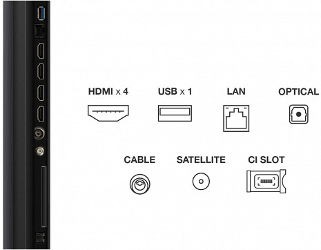 QD MiniLED televizors  65Q6C