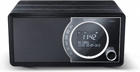 Radio ar bluetooth  DR-450(BK)