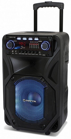 Акустическая система  SPK 5021