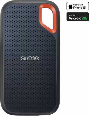 SSD disks  SDSSDE61-4T00-G25