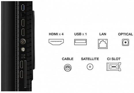 QLED Televizors  55P8K