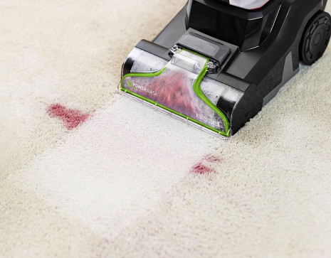 Putekļu sūcējs PowerWash Pet 3878N