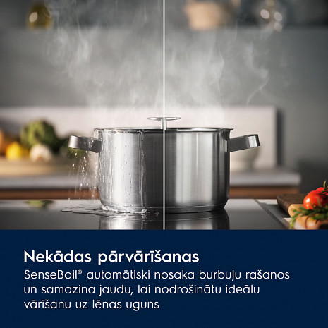 Поверхность плиты  EIS82453