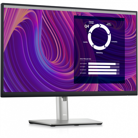 Monitors P2423D 210-BDEG