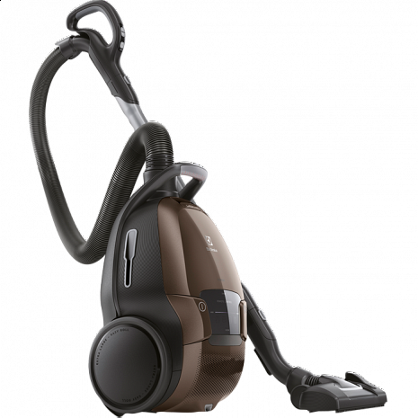 Putekļu sūcējs Pure D9 PD91-6PTX