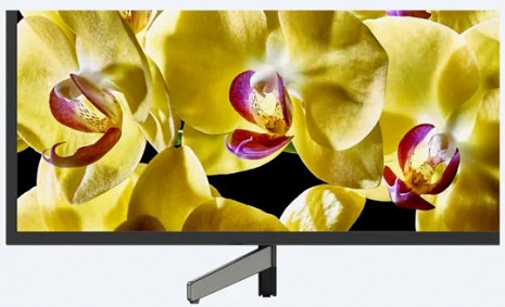 LED Televizors  KD-49XG8096