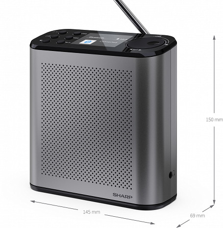 Радио  DR-P530(GY)