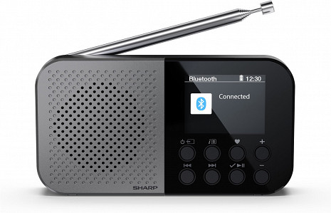 Radio  DR-P520(GY)