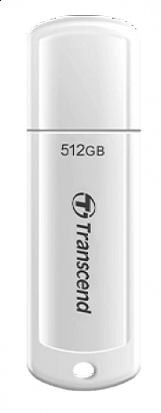 USB zibatmiņa MEMORY DRIVE FLASH USB3.1/256GB TS256GJF730 TS256GJF730
