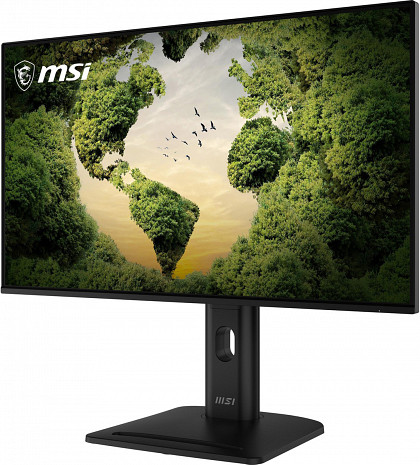 Monitors  PRO MP275PGN E14