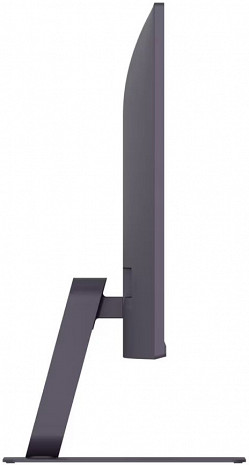 Monitors  24G411A-B.AEU