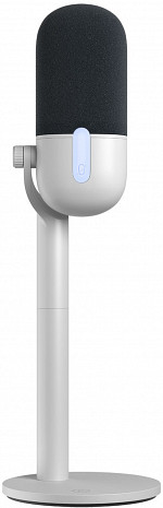 Mikrofons  10MAI9901