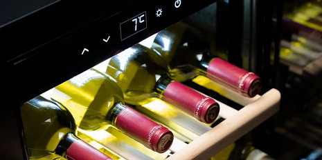 Ledusskapis WineExclusive 12 00716