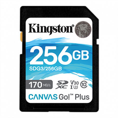 Atmiņas karte Kingston Canvas Go! Plus 256 GB, SD, Flash memory class 10 SDG3/256GB