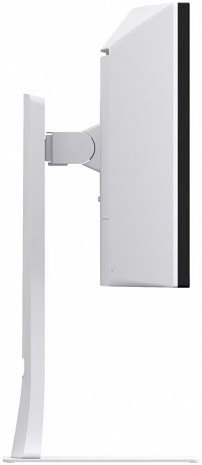 Monitors  49U950A-W.AEU